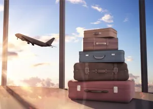 Viajar de avião com pet: regras das companhias aéreas (2026)